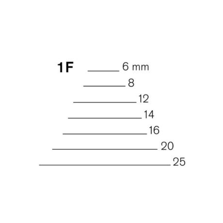 1F-profile-1-e1764209309967